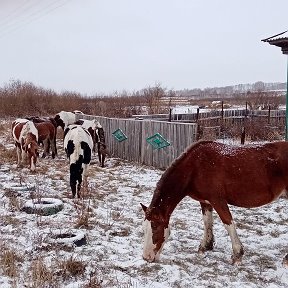 Фотография от валерий орлов