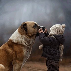 Фотография от Зоя Деревянко