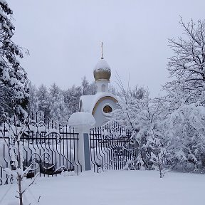 Фотография от Фаина Семеновна