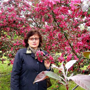 Вера Петрянкина adlı kişiden fotoğraf