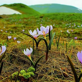 Фотография от Hayastan Հայաստան МНАЦАКАНЯН