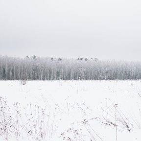 Фотография от сергей пяткин