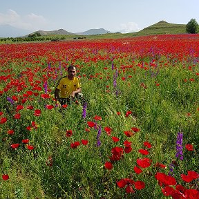 Фотография от Arsen Grigoryan