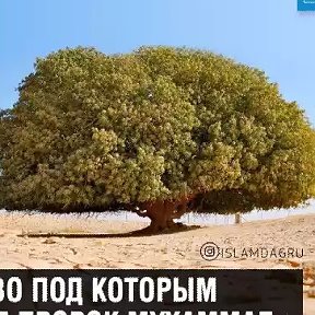 Фотография от Дух Естов