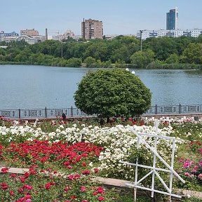 Фотография от АЛЕКСАНДР ПОЛЕЩУК