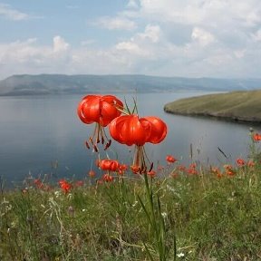 Фотография от Наталья Округина 🌹