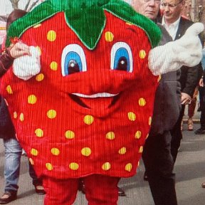 Фотография "Ecaillon Fete de la Fraise mascotte pakken 2016"