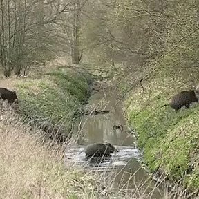 Фотография от Александр Закурдаев