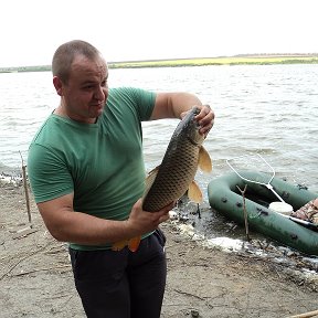 Фотография от алексей жарков