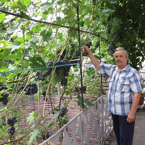 Фотография от Владимир Завалин