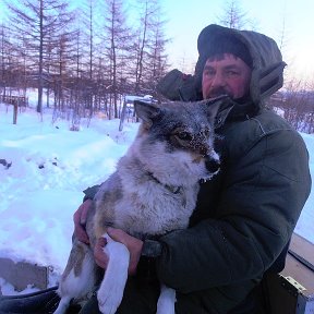 Фотография от Геннадий Жданкин