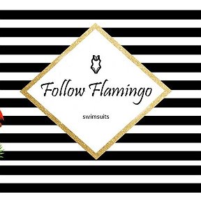 Фотография от Follow Flamingo