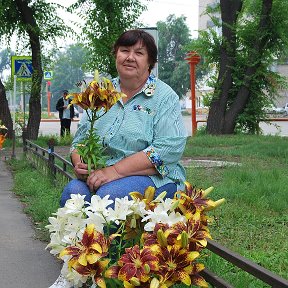 Фотография "выставка лилий"