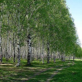 Фотография от Алексей Головачёв