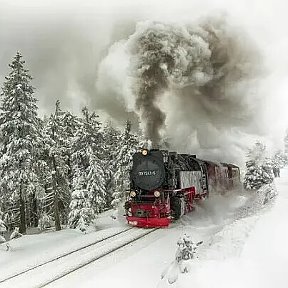 Фотография от Анатолий Осауленко