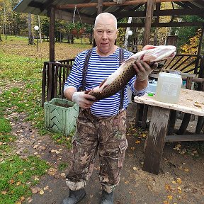 Фотография от Вера Симоненко андросова