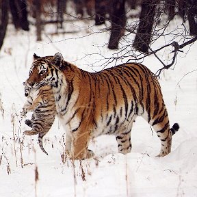 Фотография от Оксана Оксана