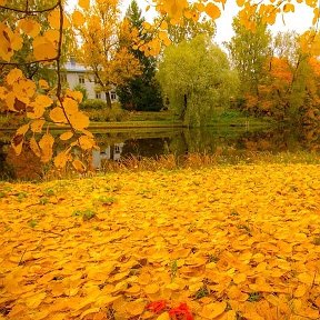 Фотография от Ислам Исламов