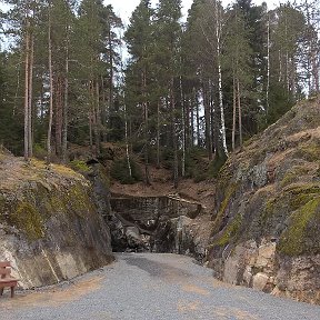 Фотография "Военный грот в горе Филина. Лахтенпохья."