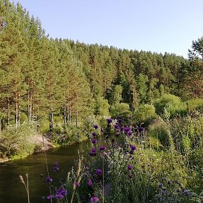 Фотография от Рохина Маргарита Александровна🌺