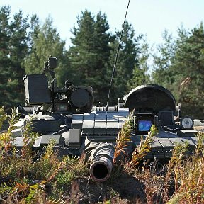 Фотография от Алексей Квитчастый