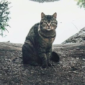 Фотография от Гавриил филичкин