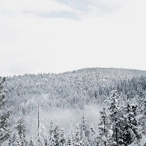 Фотография от Алексей Королев