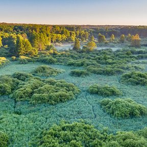 Фотография от Николай Коршунов