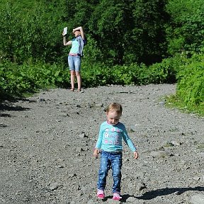 Фотография "Гуляем по альпийским лугам"