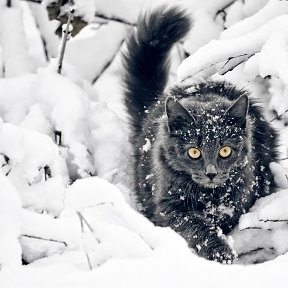 Фотография от Наталья Ченкина (Кутищева)