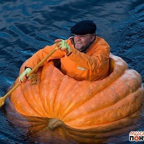 Фотография от александр артемьев