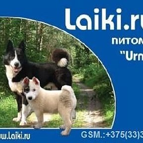 Фотография от Laiki ru