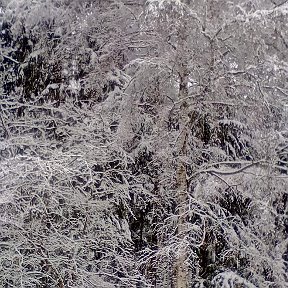 Фотография от Вика Коденко (Киселева)