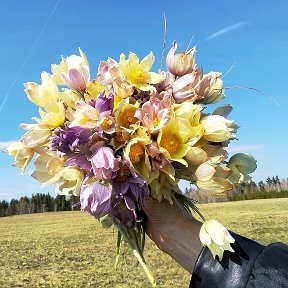 Фотография от Оля Щербатюк(Афанасьева)