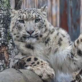 Фотография от Иван Скорик