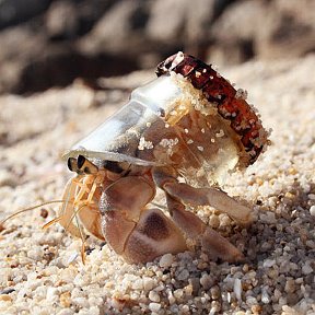 Фотография от К МОРЮ В ПРИМОРЬЕ