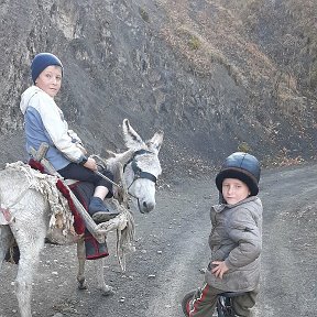 Фотография "В лес. За дровами."