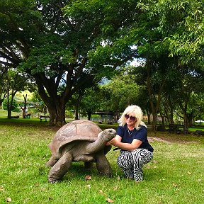 Фотография "В зоопарке CASELA на о.Маврикии черепахи гуляют по всей территории .. "