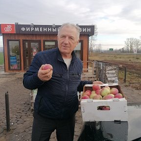 Фотография "Сергиевские яблоки (сорт Лобо)-За ними сегодня специально завернул с "уфимки""