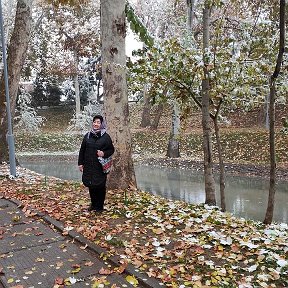 Фотография "Зимний и осенний,  с течением ручеек  весенний,  душою всегда летний Ташкент! 22.11.2019."