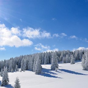 Фотография от лена янова