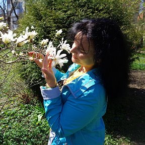 Фотография "Магнолия — королева цветущих деревьев!)"
