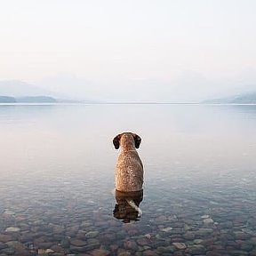 Фотография от ирина басова