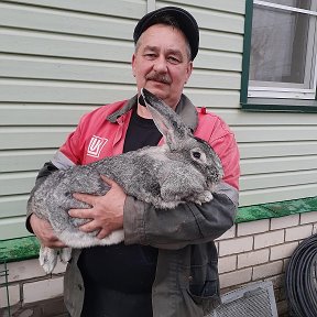 Фотография от Александр Заворуев