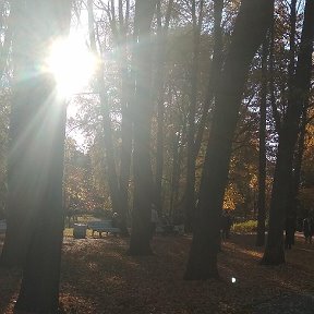 Фотография от лариса димовчи иванова