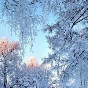 Фотография от Tany Смирнова(Гарматюк)