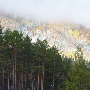 Фотография "Аршан, как опускается мороз с гор, очень красивое зрелище,деревья замерзают моментально, опускается туман, потом солнце и тепло."