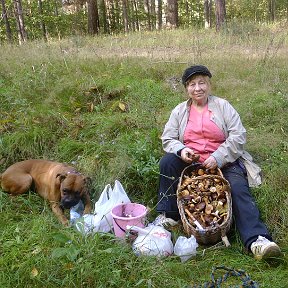 Фотография "В  бору  за  рекой"