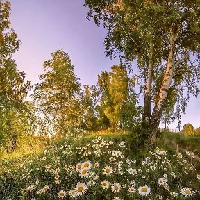 Фотография от Жанна Т