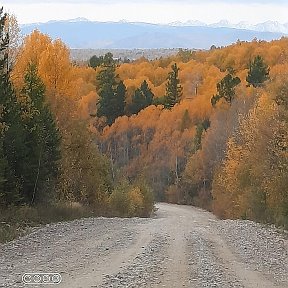 Фотография от Виктор Сергунов